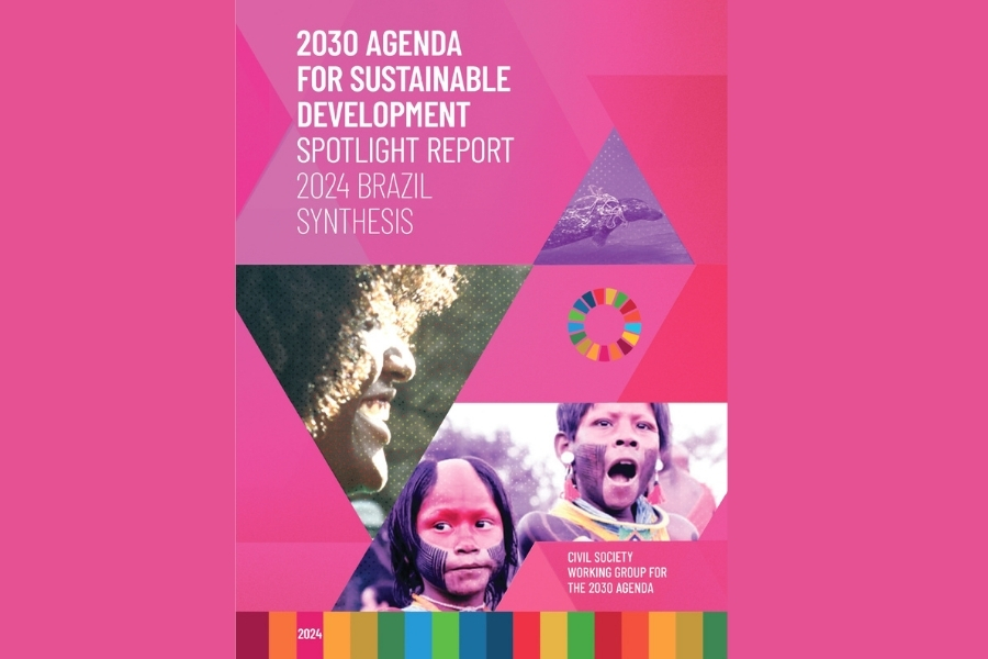 Agenda 2030 para el desarrollo sostenible. Informe Luz 2024. Brasil. Síntesis