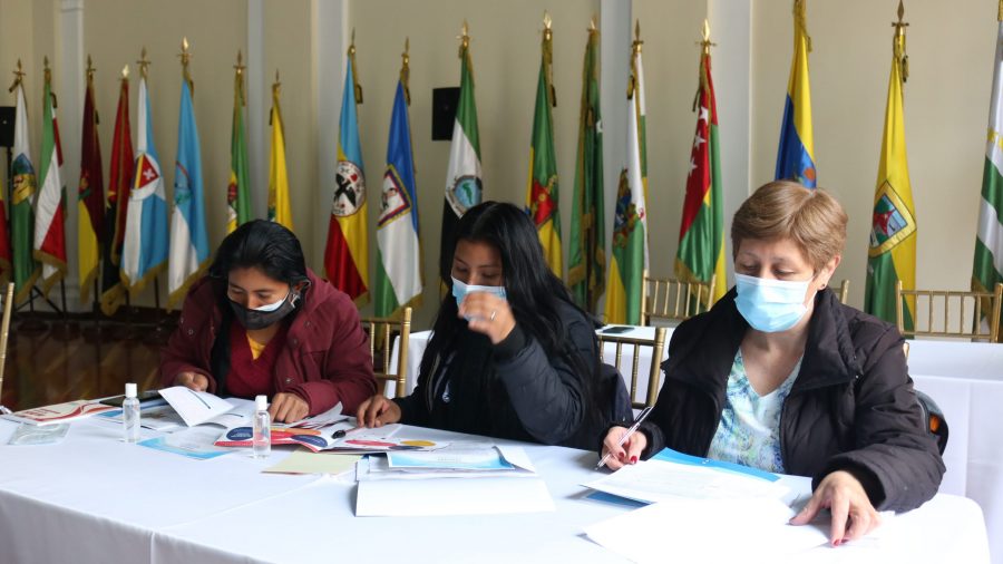 EPJA en Colombia - imagen muestra diversas personas en videollamada del lanzamiento del curso juventudes epja en colombia